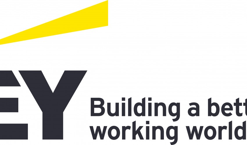 English School Students attend EY Summer Internship Programme - towards a better working world.